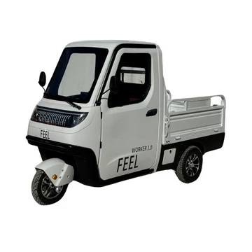 FEEL - Worker 3.0 Zárt Elektromos háromkerekű személy és teherszállító cargo fűthető platós